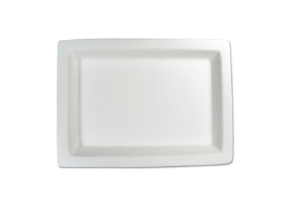 Large Rectangle Tray